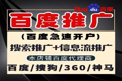 某电商平台的SEM广告投放策略及效果评估